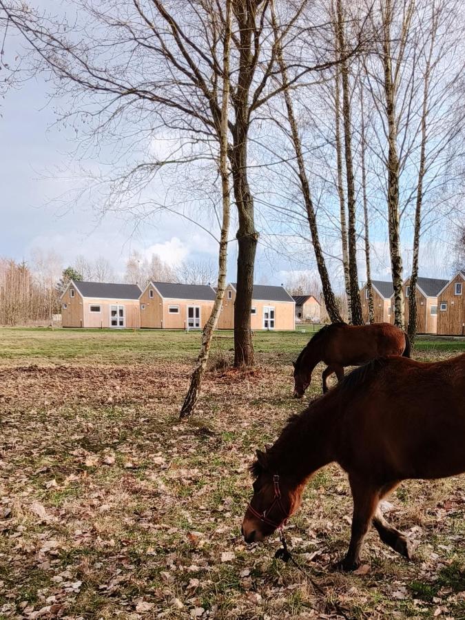 Zagajnik Country Camp Obok Suntago Βίλα Grabce-Towarzystwo Εξωτερικό φωτογραφία